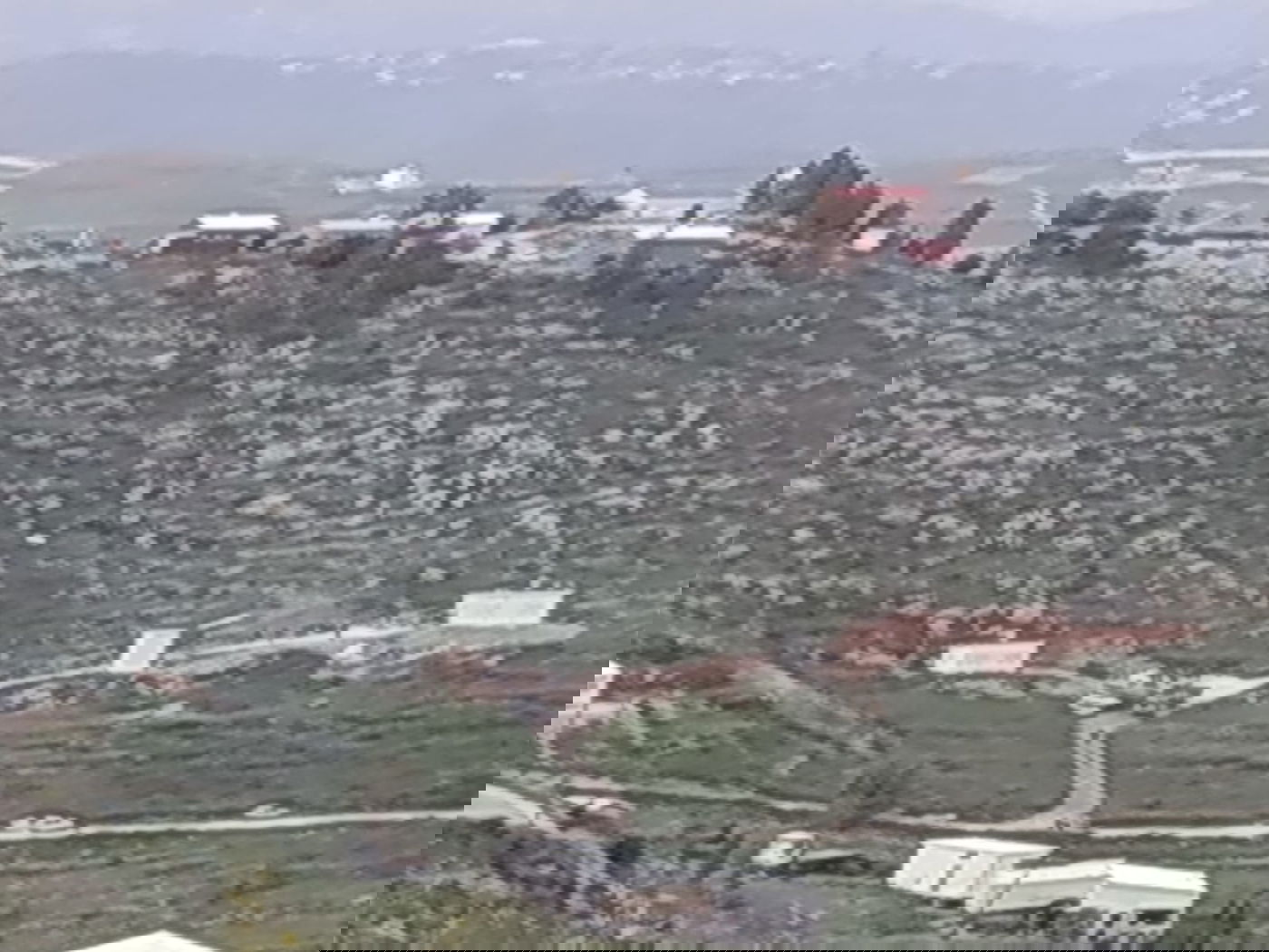 כוחות משטרה וצבא הורסים בתים ביצהר