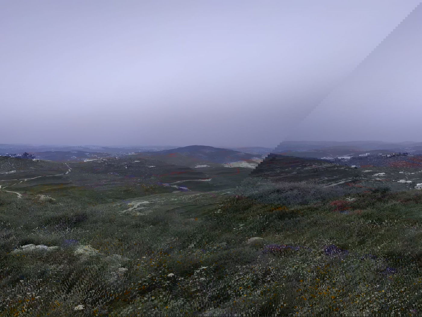 כוחות משטרה וצבא הורסים בתים ביצהר