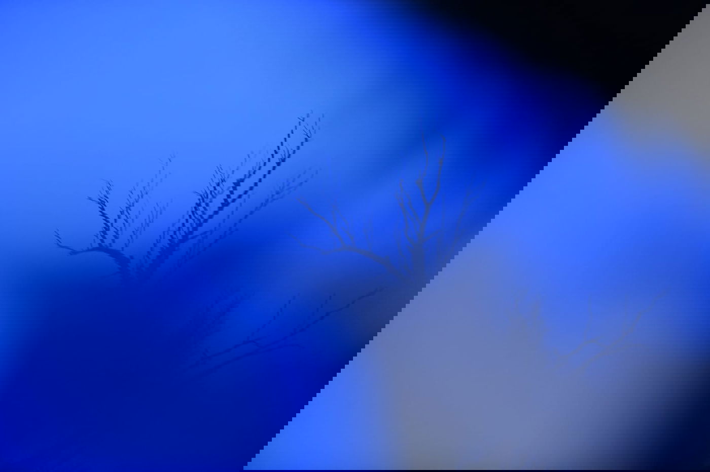 מרהיב: הזריחה בחוף קליה בים המלח • תיעוד