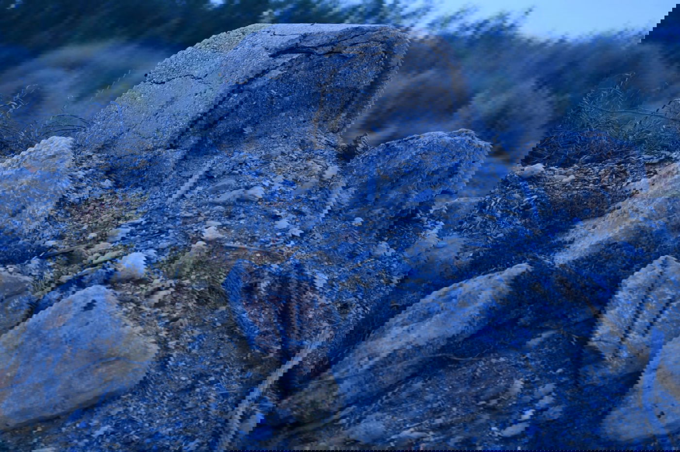 מרהיב: הזריחה בחוף קליה בים המלח • תיעוד