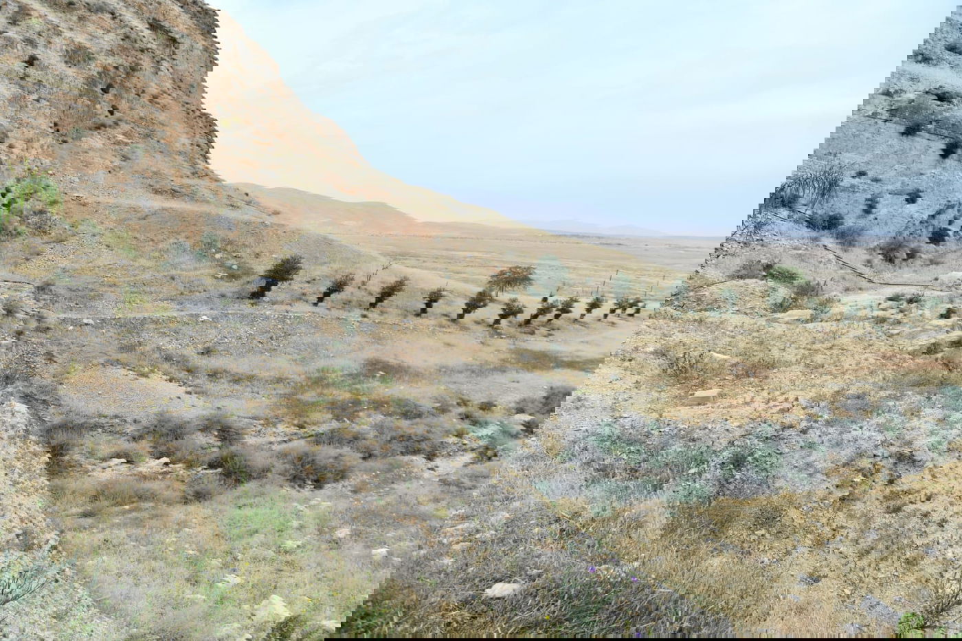 "איזו זרימה": צפו במפלי העוג'ה במבואות יריחו