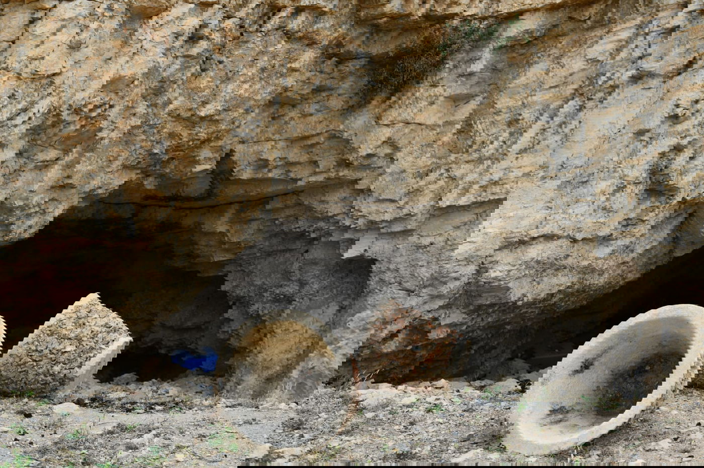 "איזו זרימה": צפו במפלי העוג'ה במבואות יריחו