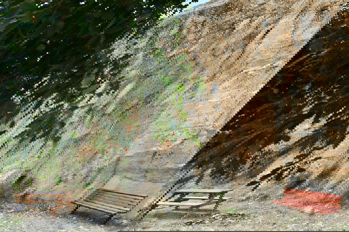 "איזו זרימה": צפו במפלי העוג'ה במבואות יריחו