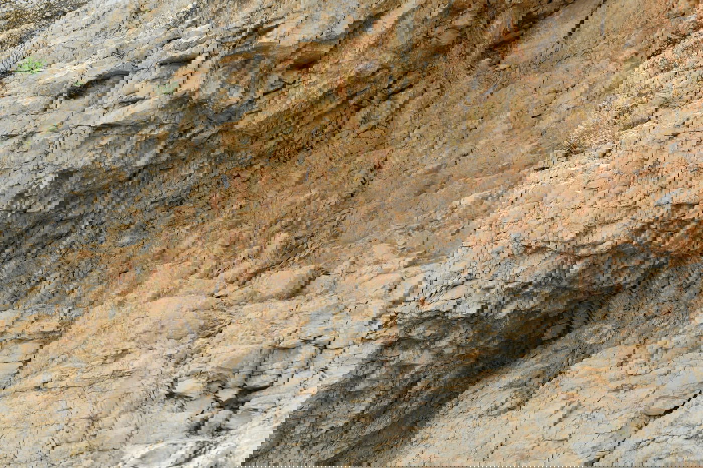 "איזו זרימה": צפו במפלי העוג'ה במבואות יריחו