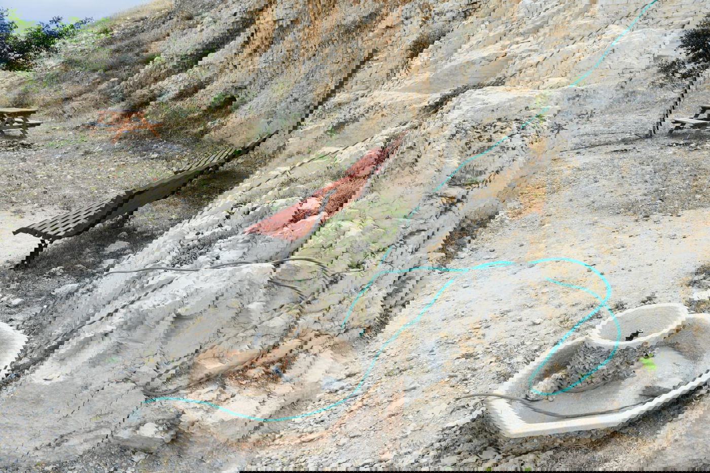 "איזו זרימה": צפו במפלי העוג'ה במבואות יריחו