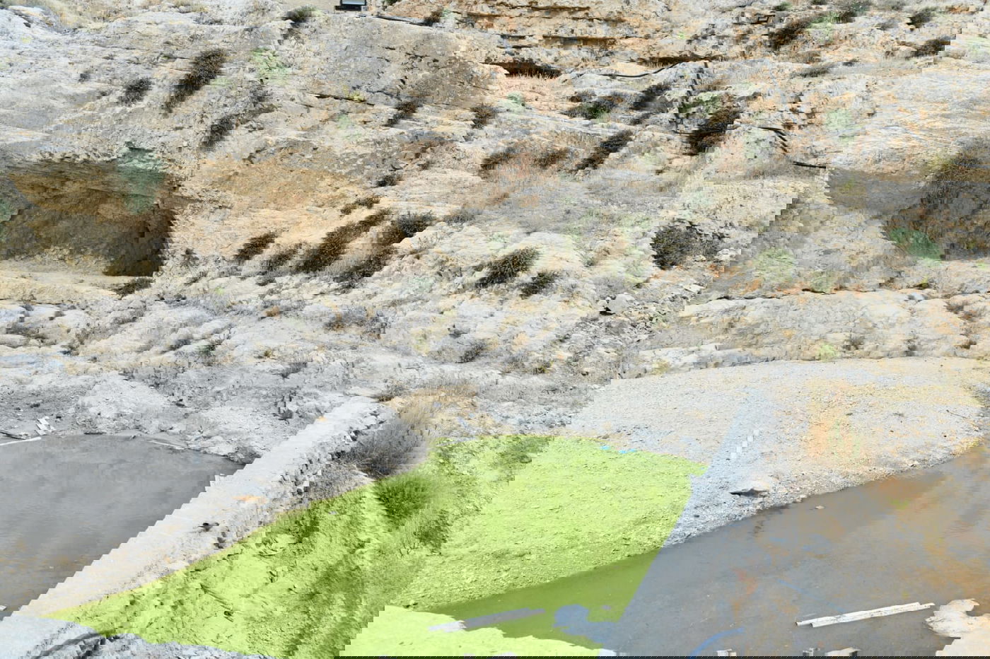 "איזו זרימה": צפו במפלי העוג'ה במבואות יריחו