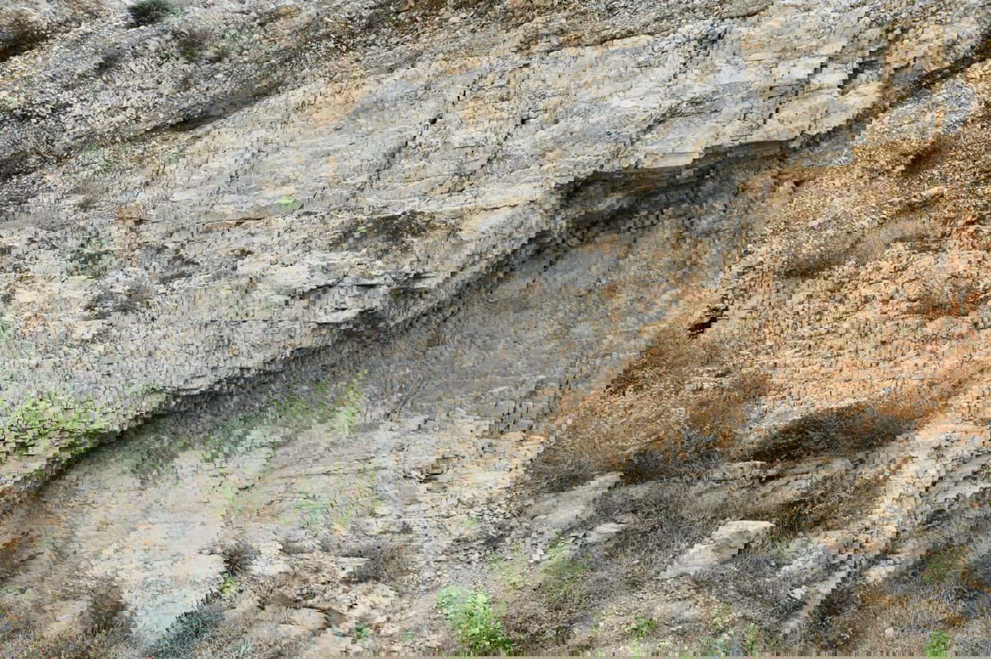 "איזו זרימה": צפו במפלי העוג'ה במבואות יריחו