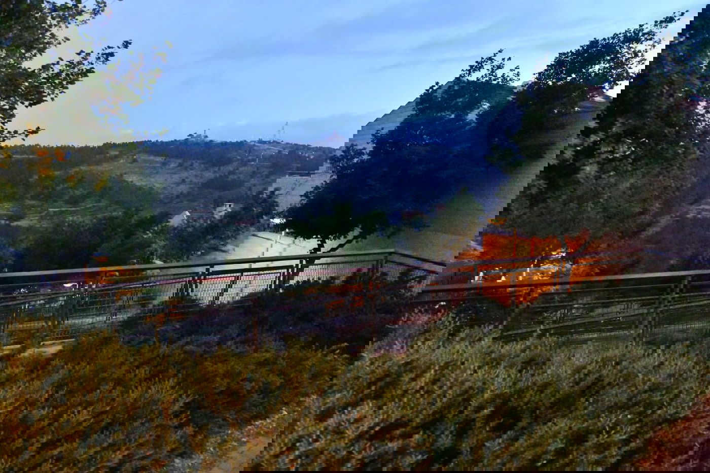 תפילת הנץ של הגאון רבי מרדכי טולדנו • צפו בתיעוד