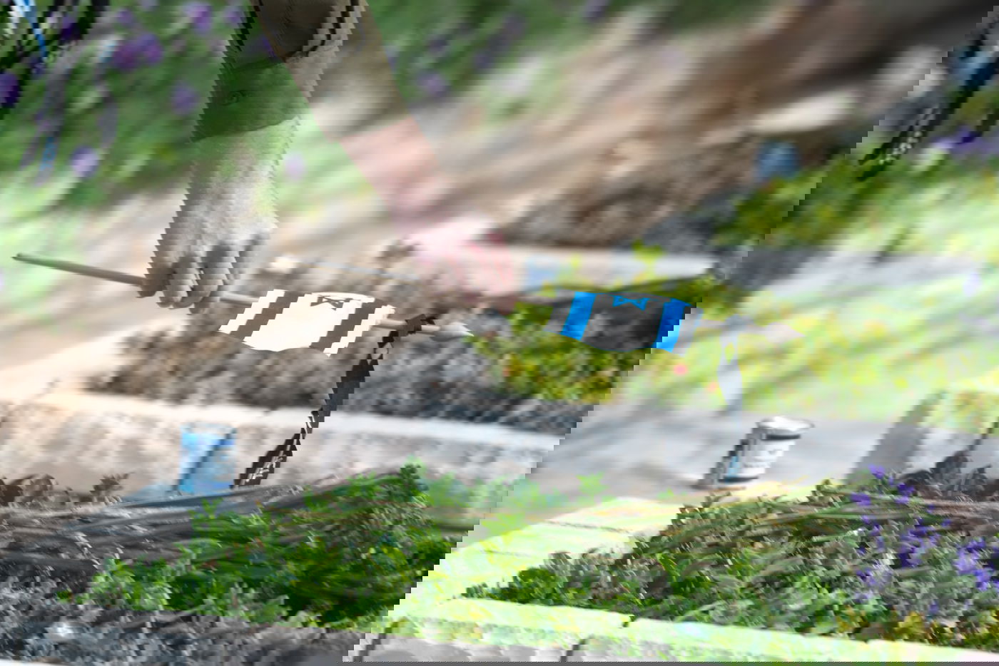 החיילים הניחו זר, דגל ונר נשמה על הקברים