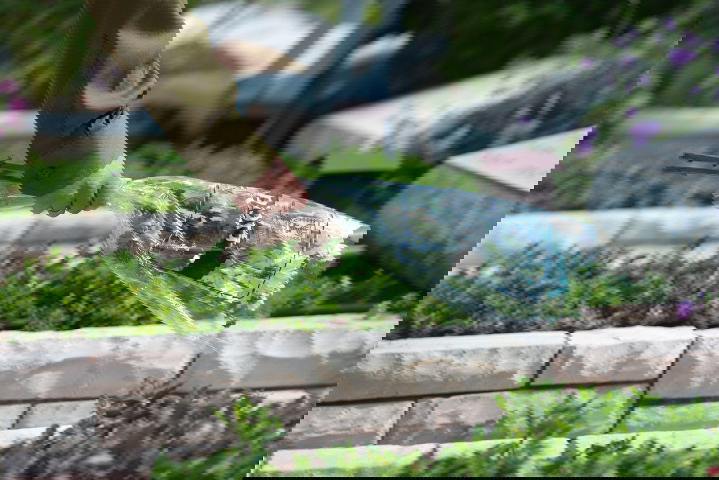 החיילים הניחו זר, דגל ונר נשמה על הקברים