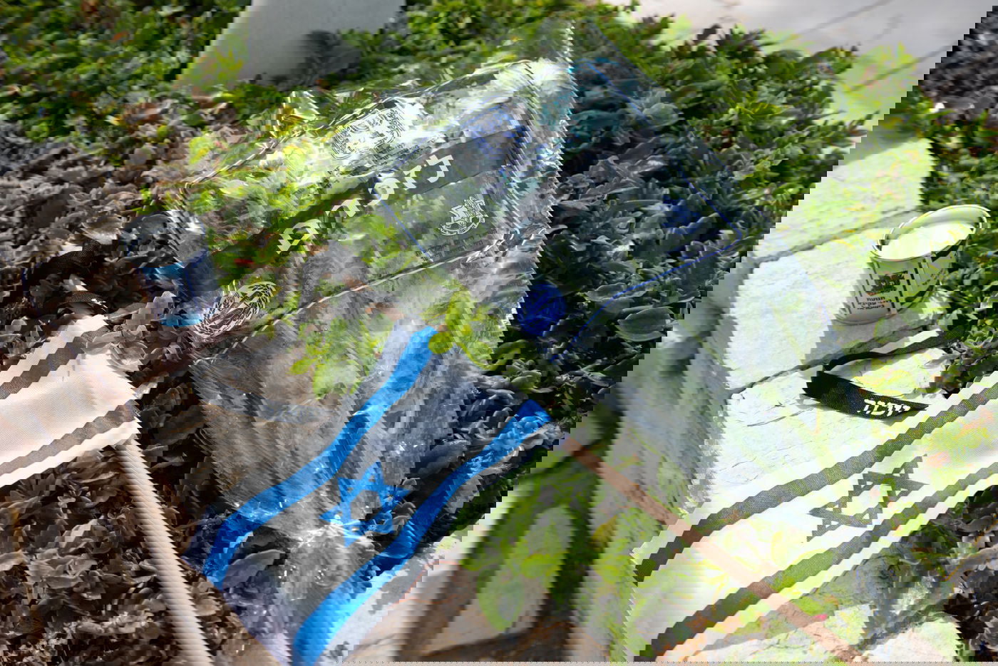 החיילים הניחו זר, דגל ונר נשמה על הקברים