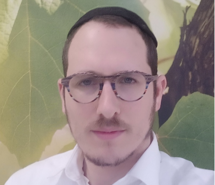 בן ציון גולדשטיין