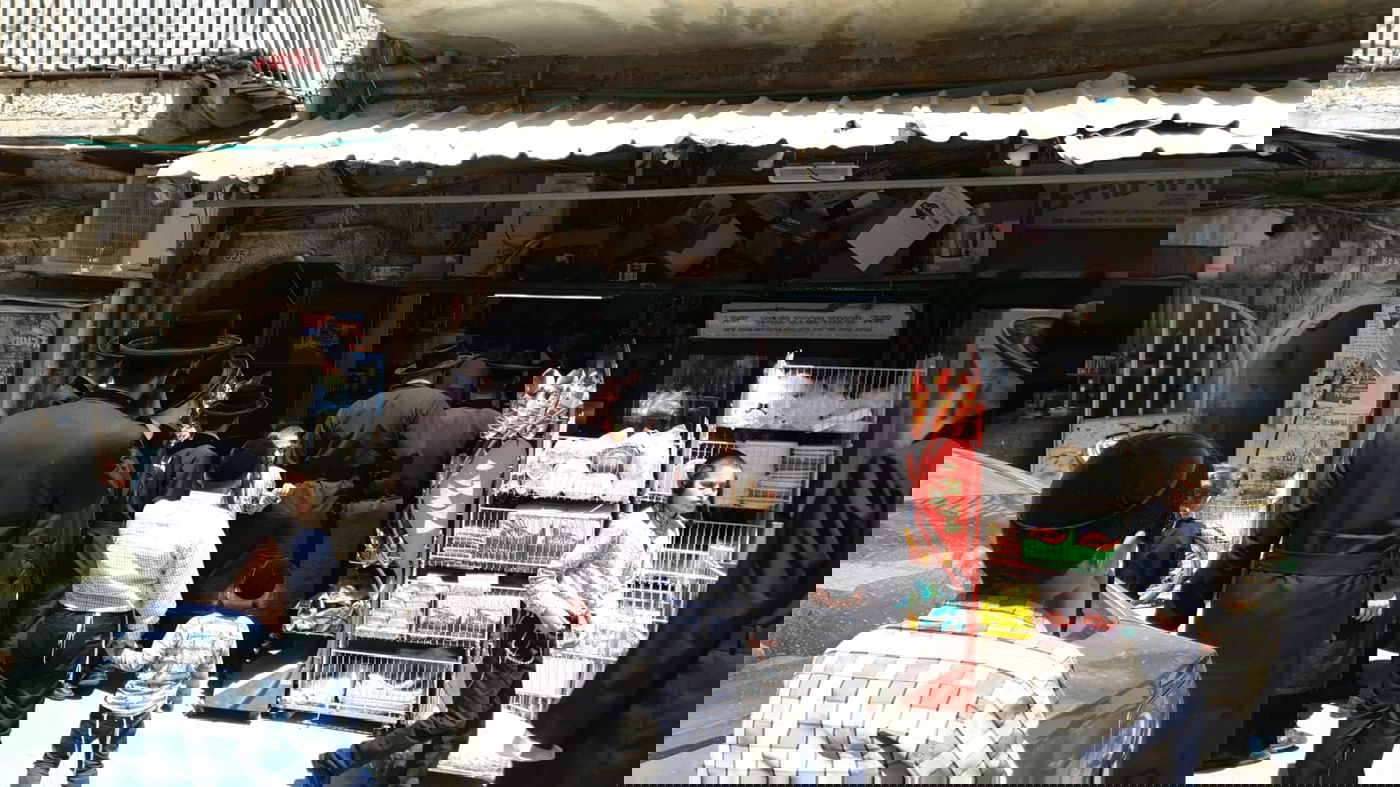 התנהלות המשטרה במא"ש; מח"ש בשכונה