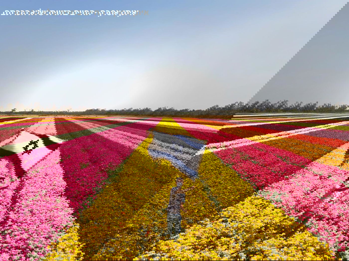 האמן והיוצר: איתן אסרף - החיים בזווית שלא הכרתם