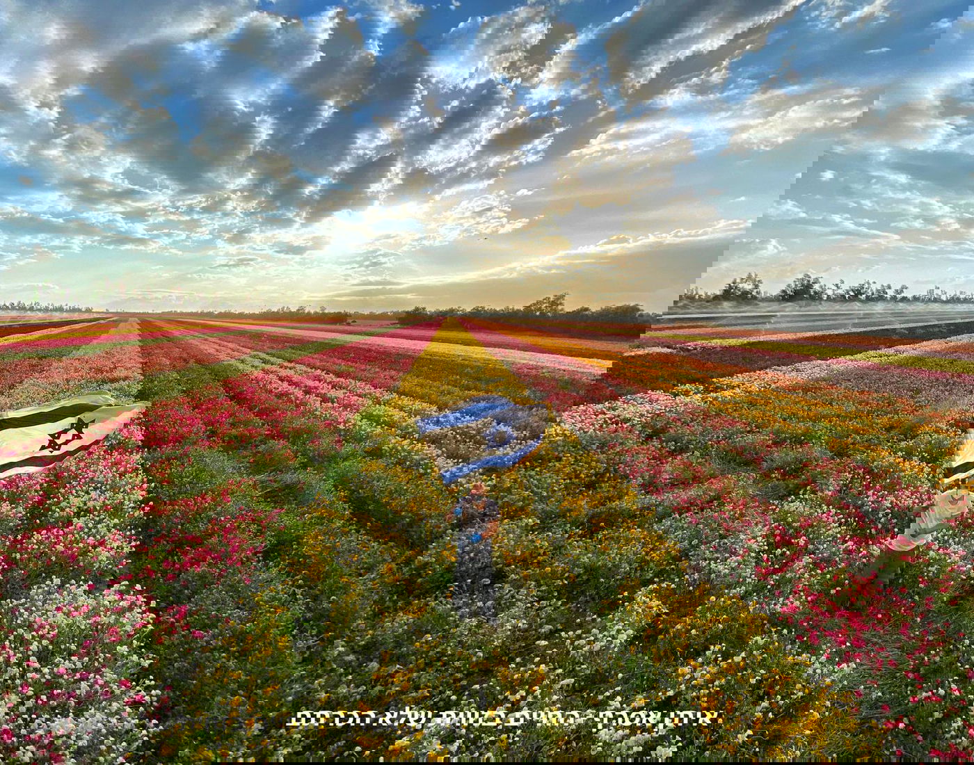 האמן והיוצר: איתן אסרף - החיים בזווית שלא הכרתם