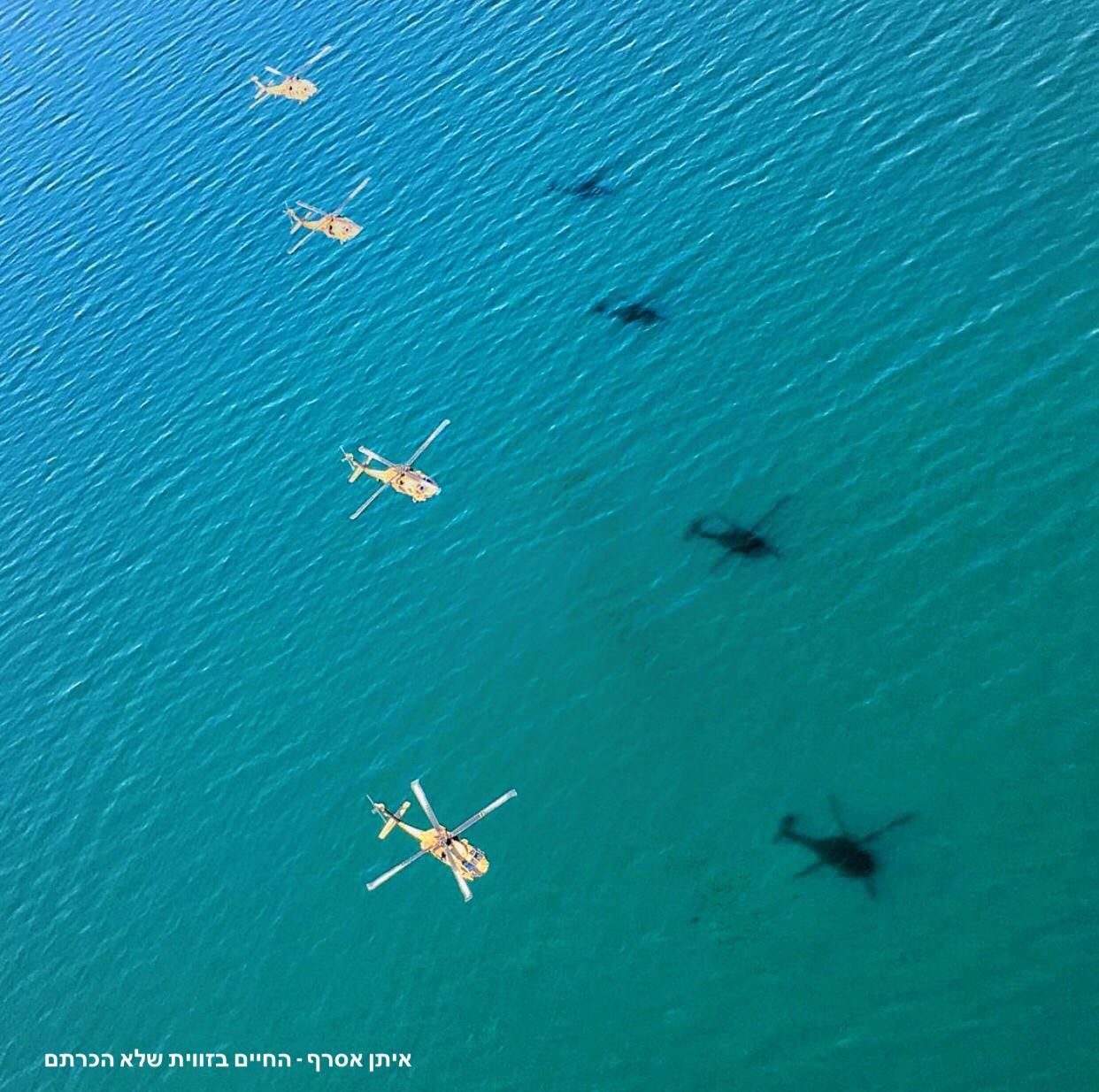 האמן והיוצר: איתן אסרף - החיים בזווית שלא הכרתם