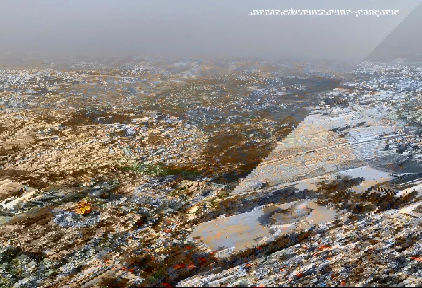 האמן והיוצר: איתן אסרף - החיים בזווית שלא הכרתם