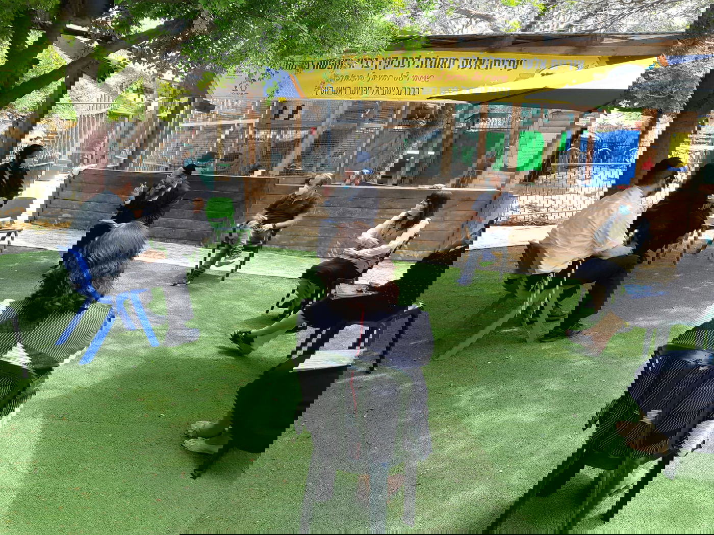 זופניק בכיכר • כל התמונות והנייעס של השבוע