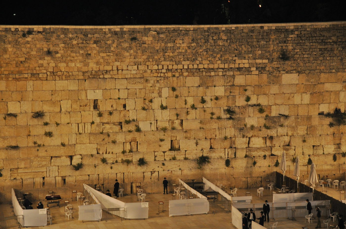 מניינים בודדים ו... ליצמן • תיעוד מהכותל המערבי
