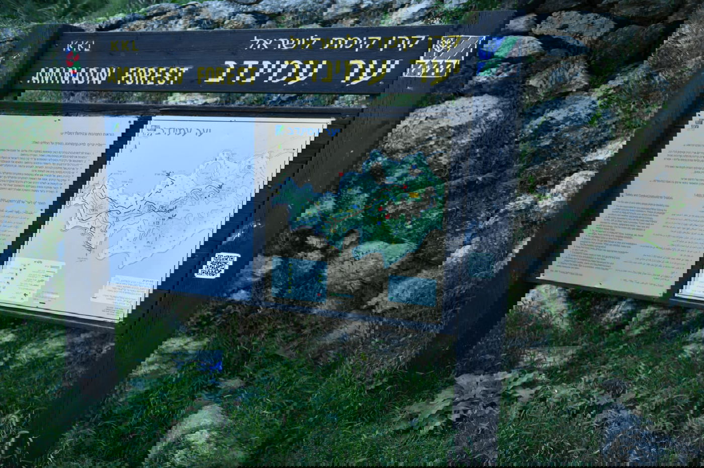 תיעוד מרהיב: פריחת האביב בהרי ירושלים