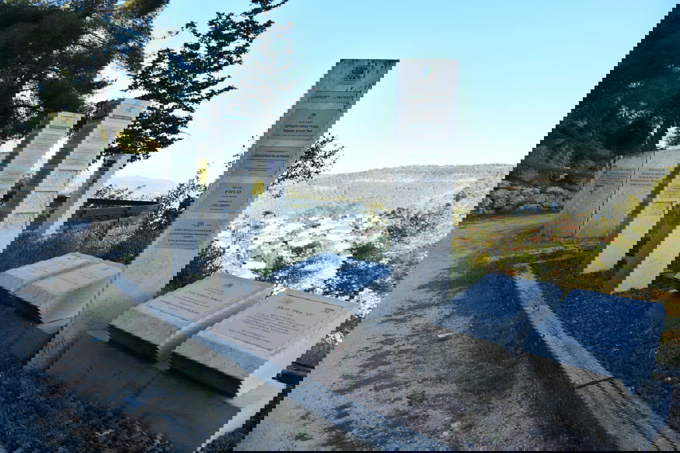 תיעוד מרהיב: פריחת האביב בהרי ירושלים