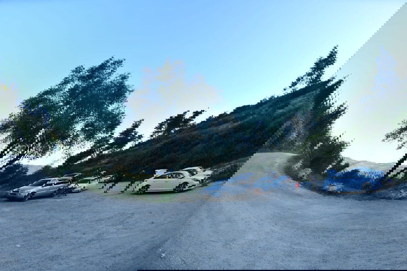 תיעוד מרהיב: פריחת האביב בהרי ירושלים