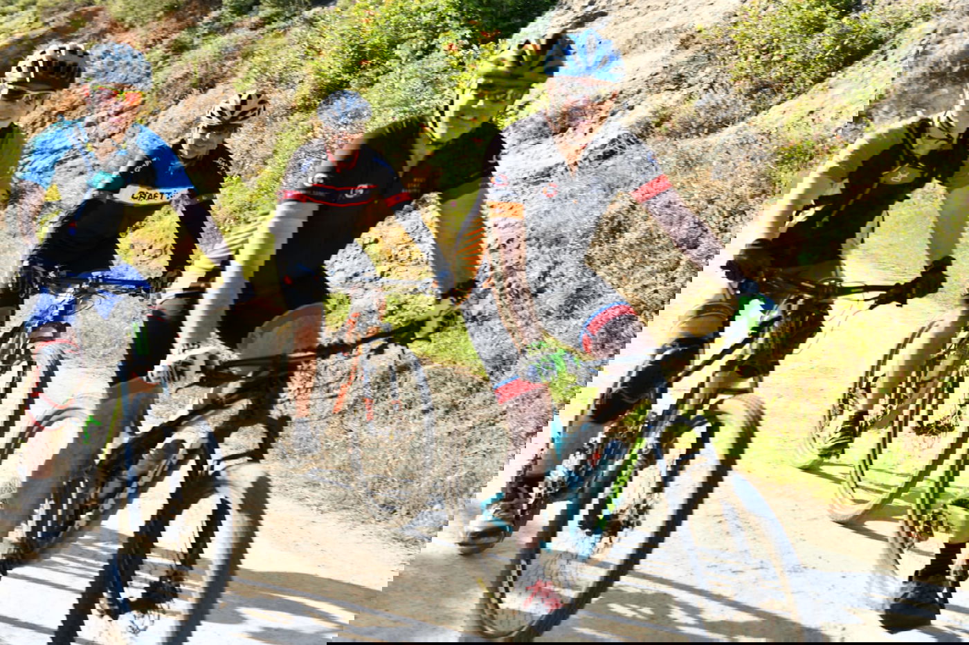 תיעוד מרהיב: פריחת האביב בהרי ירושלים