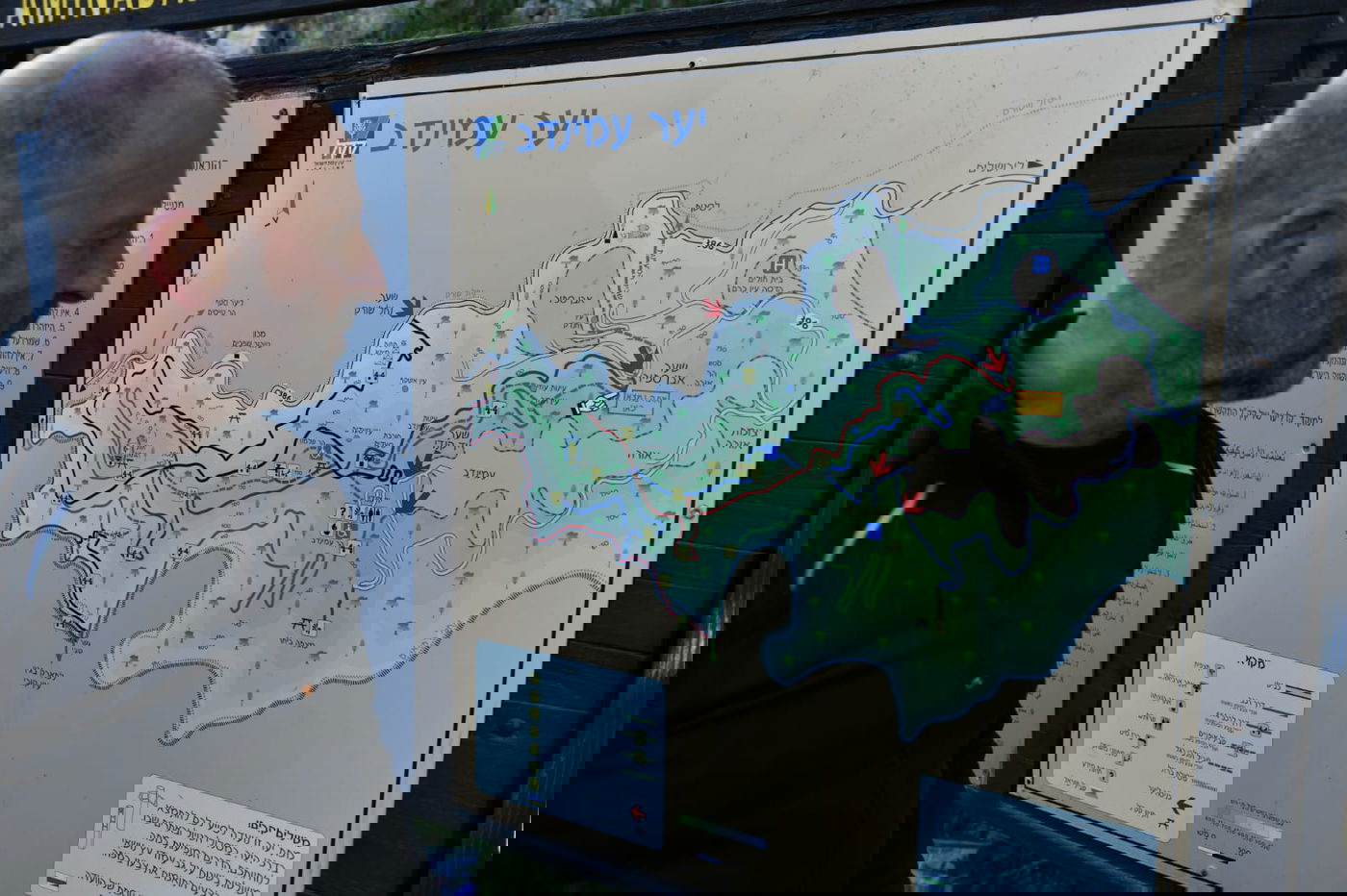 תיעוד מרהיב: פריחת האביב בהרי ירושלים