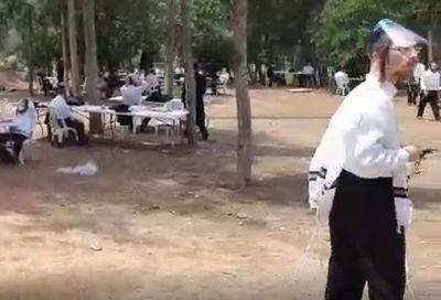 בזכות הקורונה: ה'שטייגען' הקייצי התחיל ביער. צפו