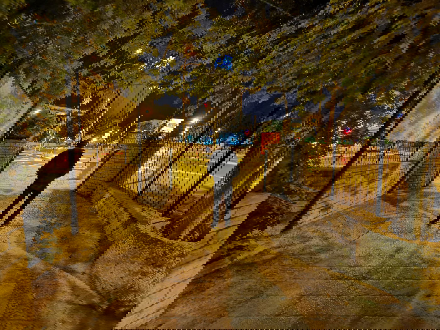 טיול ב'גן הפעמון' באמצע הלילה • גלריה