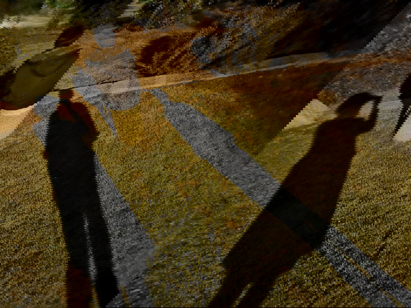 טיול ב'גן הפעמון' באמצע הלילה • גלריה