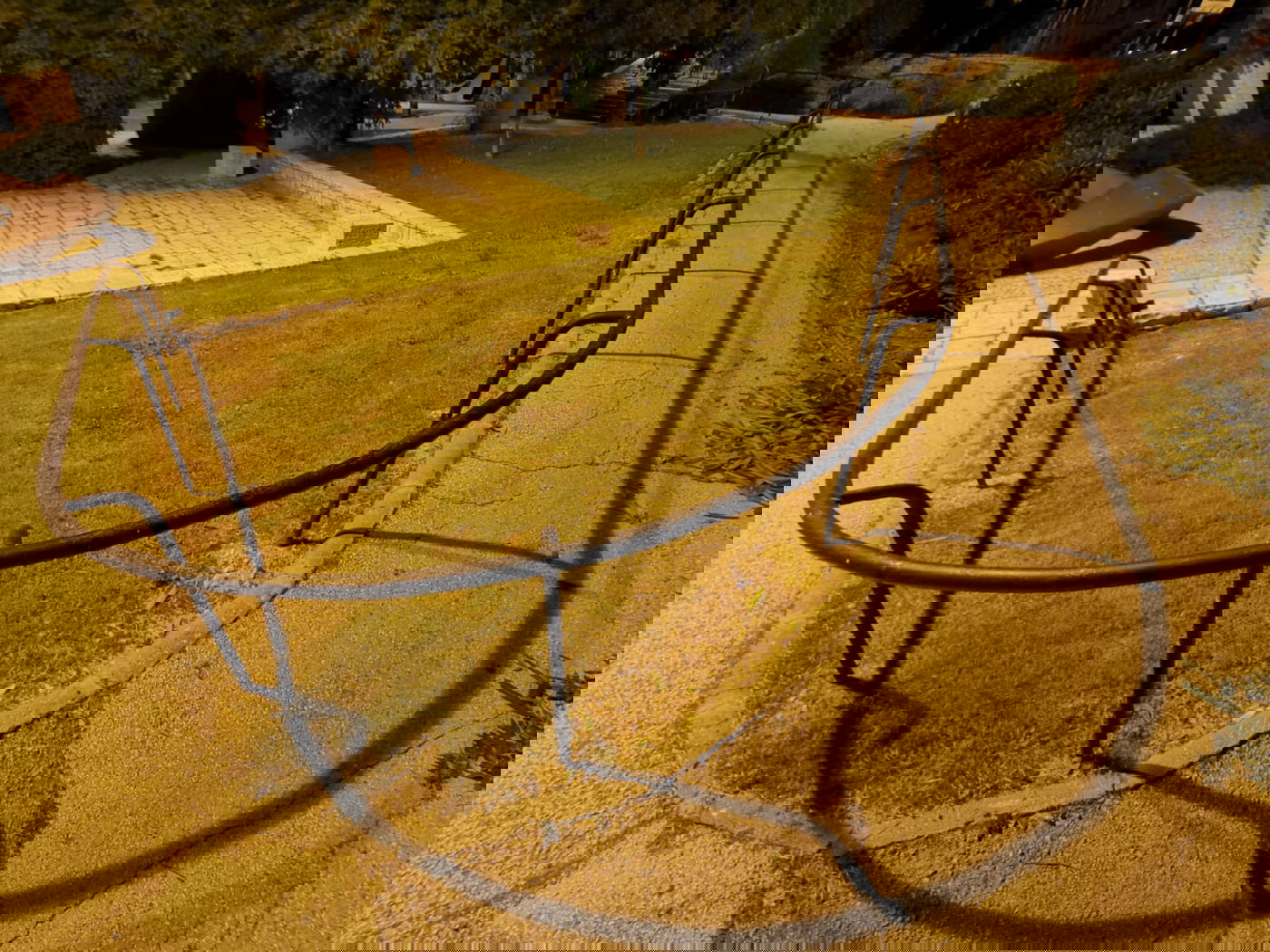 טיול ב'גן הפעמון' באמצע הלילה • גלריה