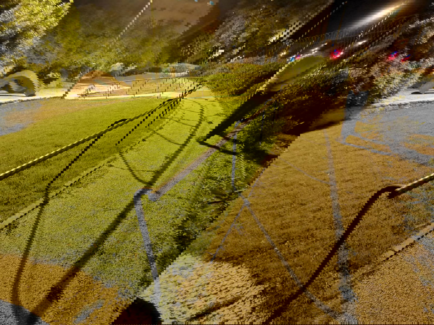 טיול ב'גן הפעמון' באמצע הלילה • גלריה