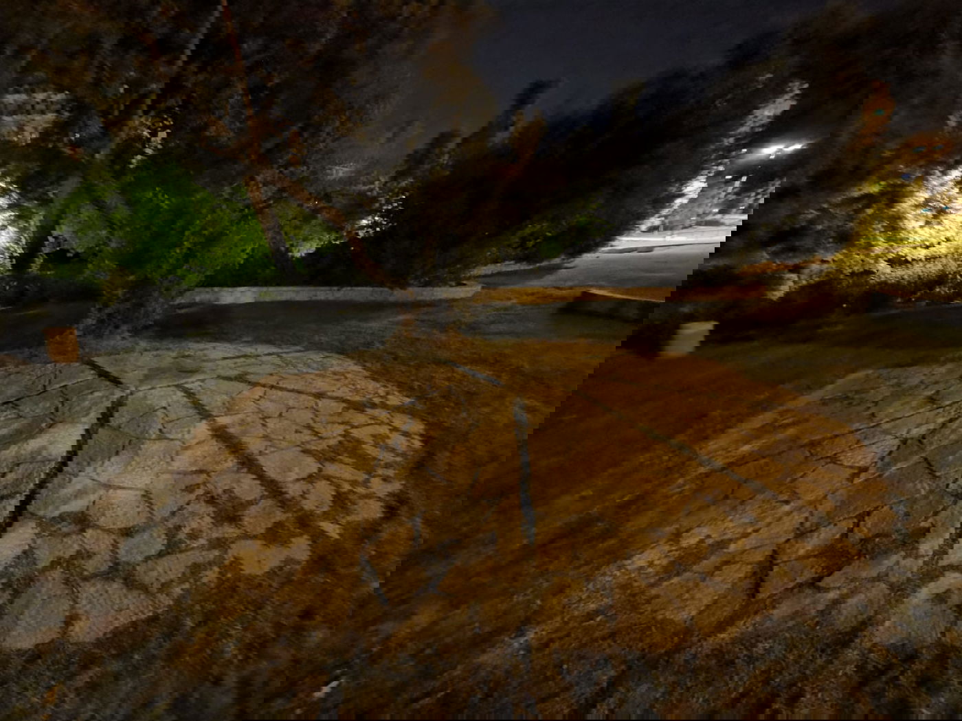 טיול ב'גן הפעמון' באמצע הלילה • גלריה