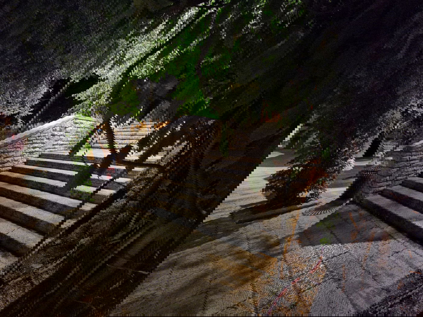 טיול ב'גן הפעמון' באמצע הלילה • גלריה