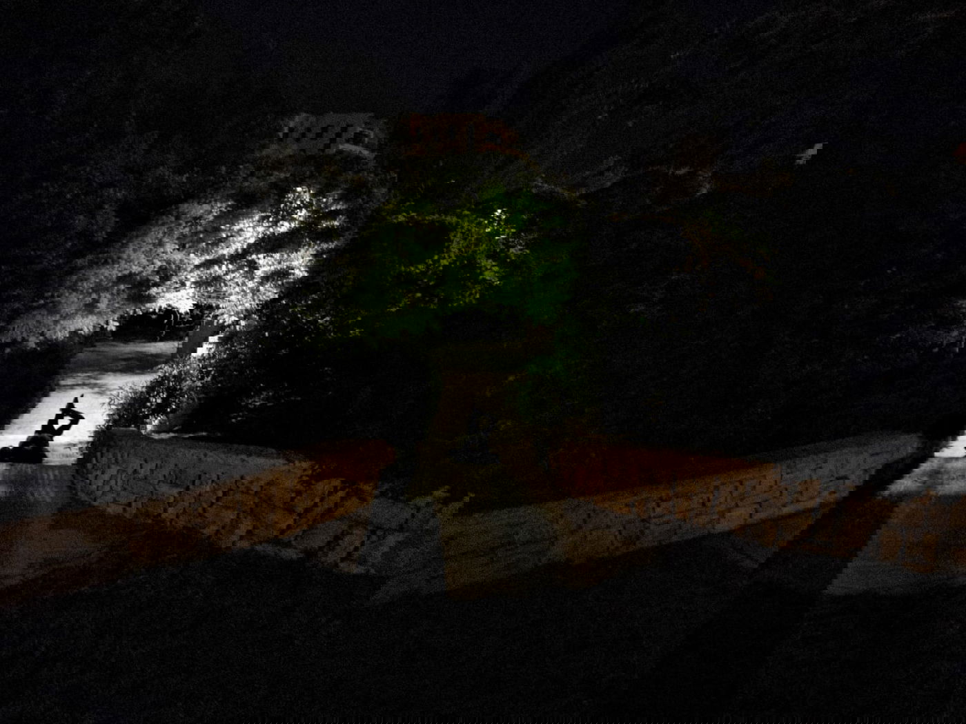 טיול ב'גן הפעמון' באמצע הלילה • גלריה