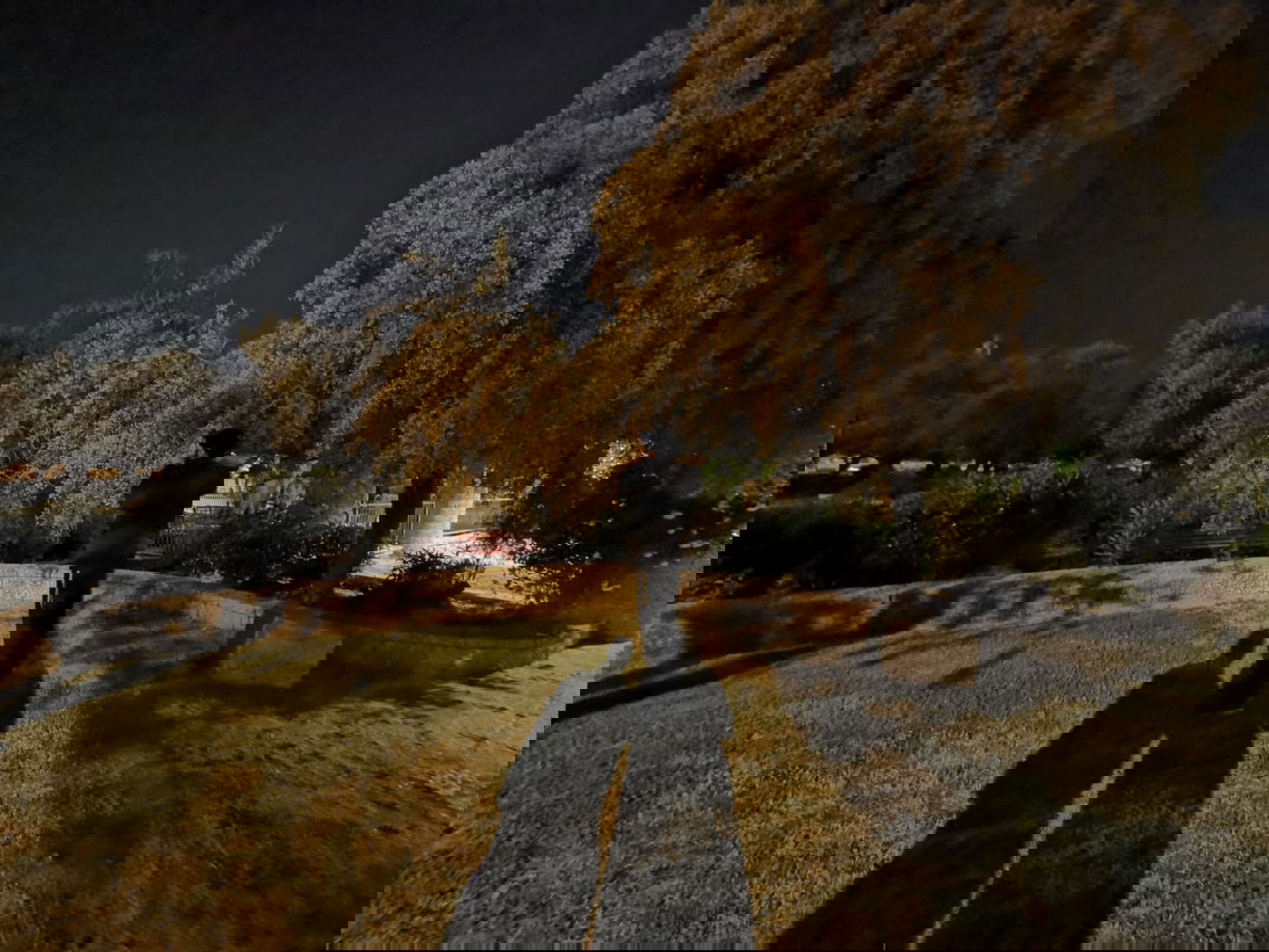 טיול ב'גן הפעמון' באמצע הלילה • גלריה