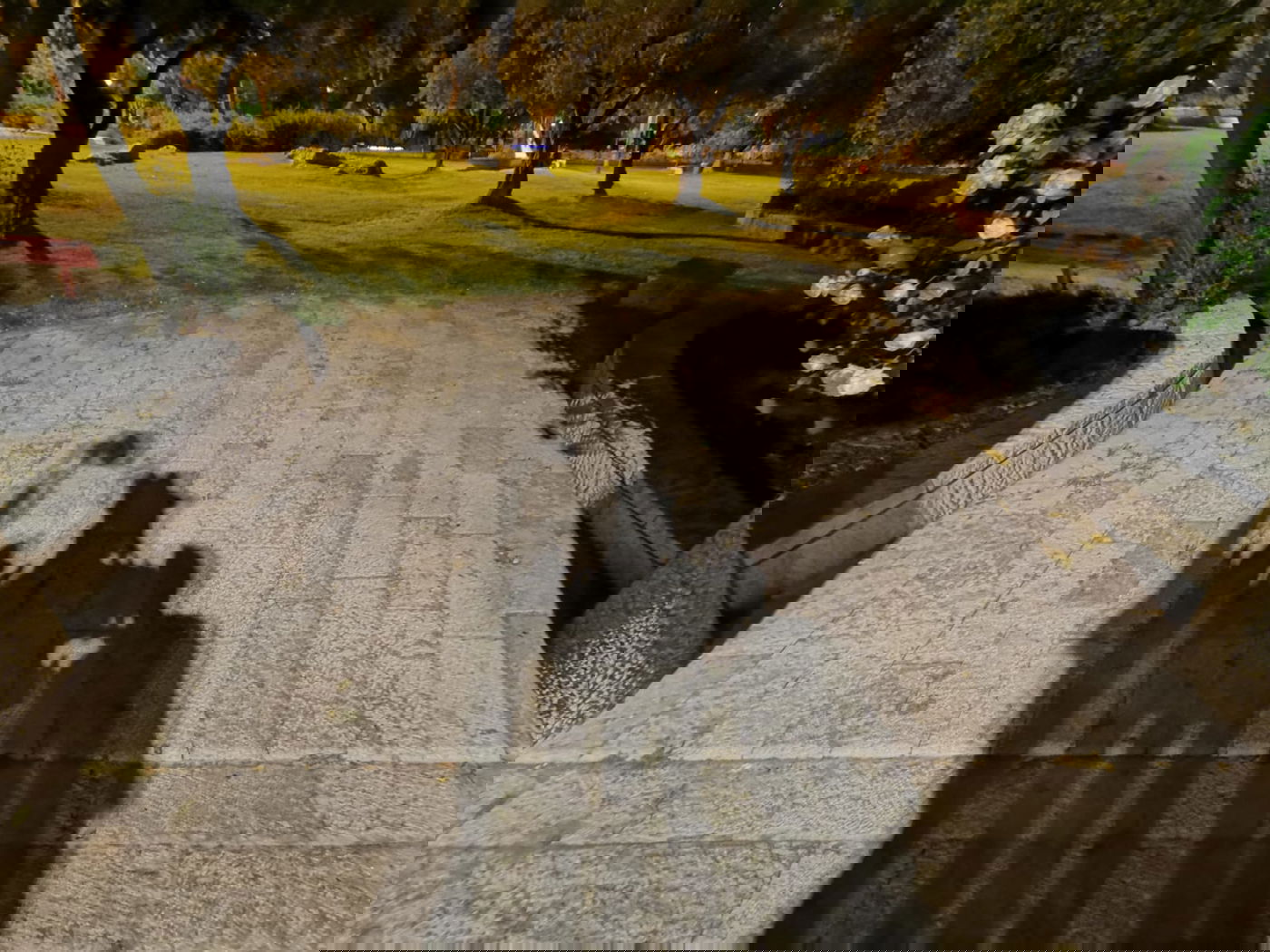 טיול ב'גן הפעמון' באמצע הלילה • גלריה