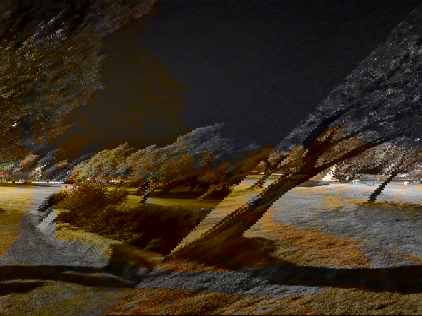 טיול ב'גן הפעמון' באמצע הלילה • גלריה