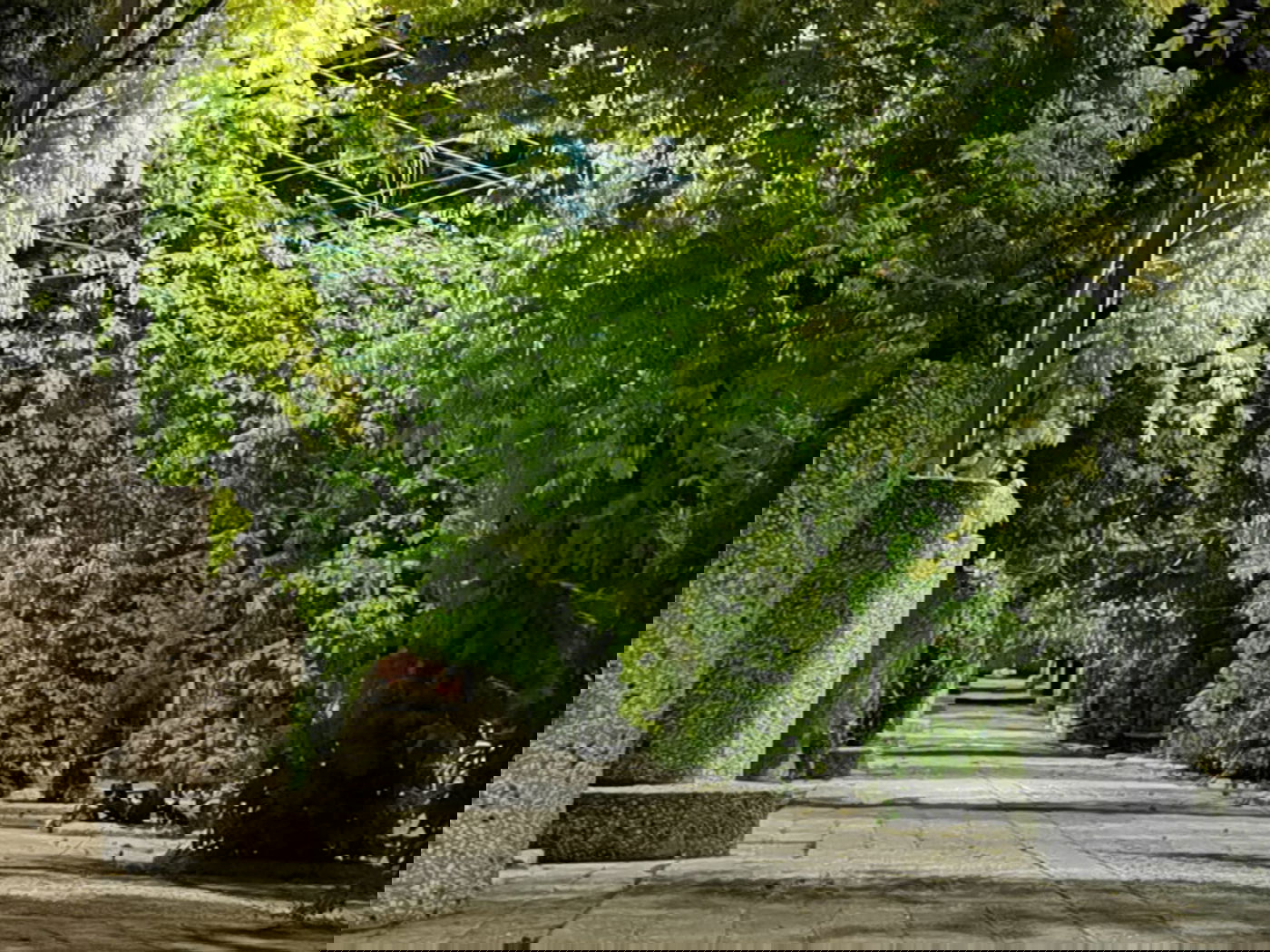 טיול ב'גן הפעמון' באמצע הלילה • גלריה