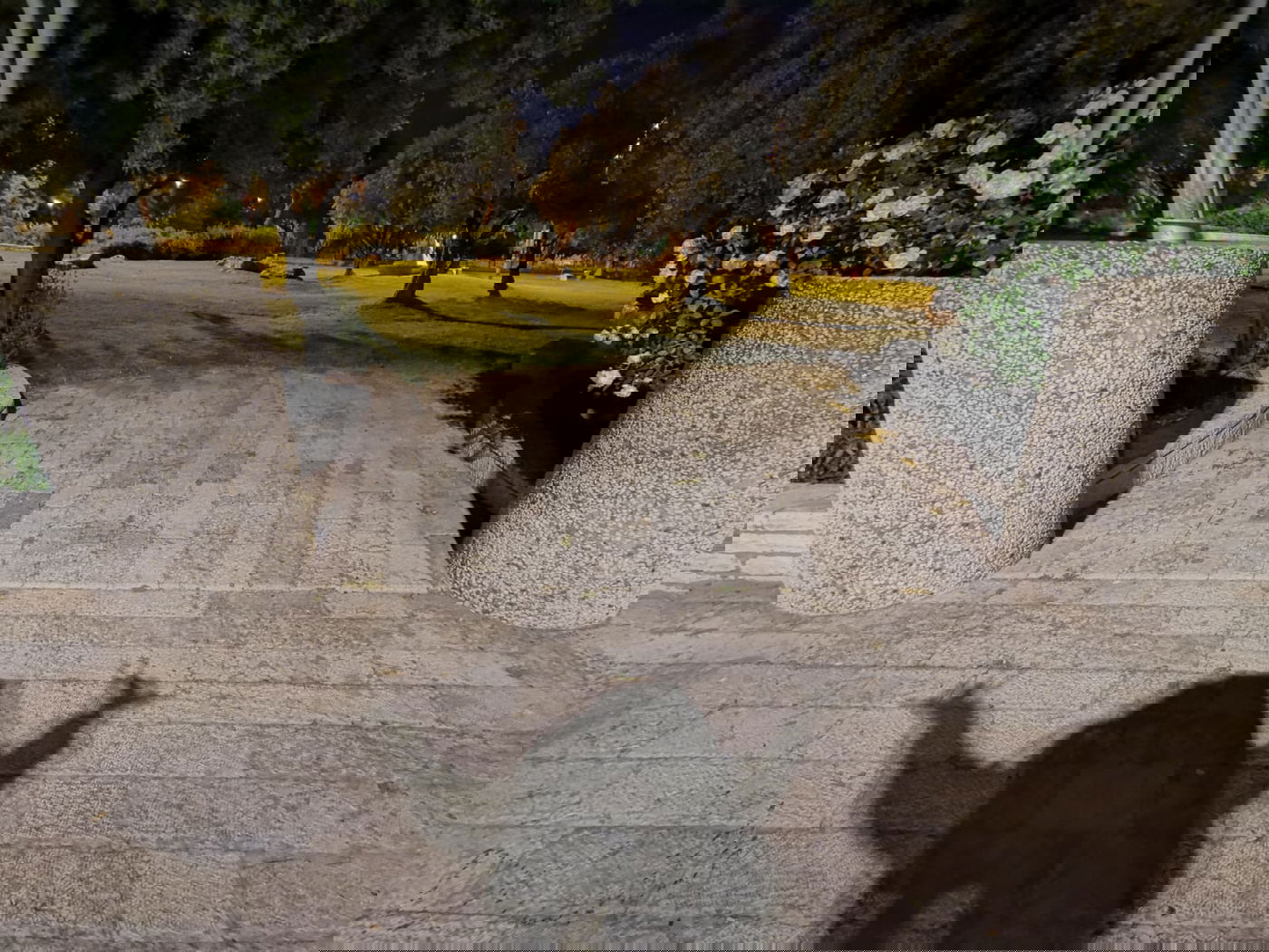 טיול ב'גן הפעמון' באמצע הלילה • גלריה