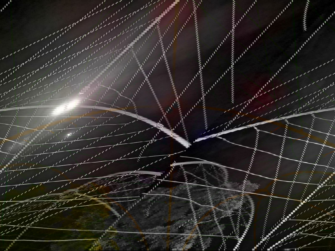 טיול ב'גן הפעמון' באמצע הלילה • גלריה