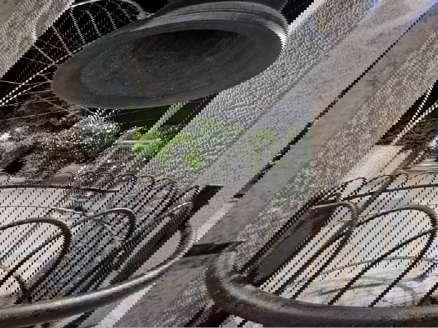 טיול ב'גן הפעמון' באמצע הלילה • גלריה