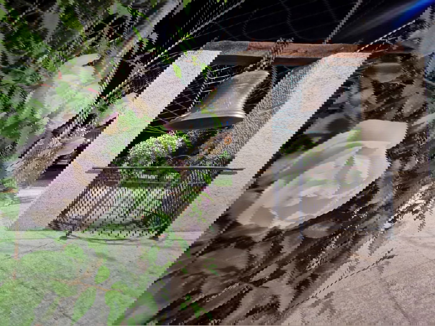 טיול ב'גן הפעמון' באמצע הלילה • גלריה