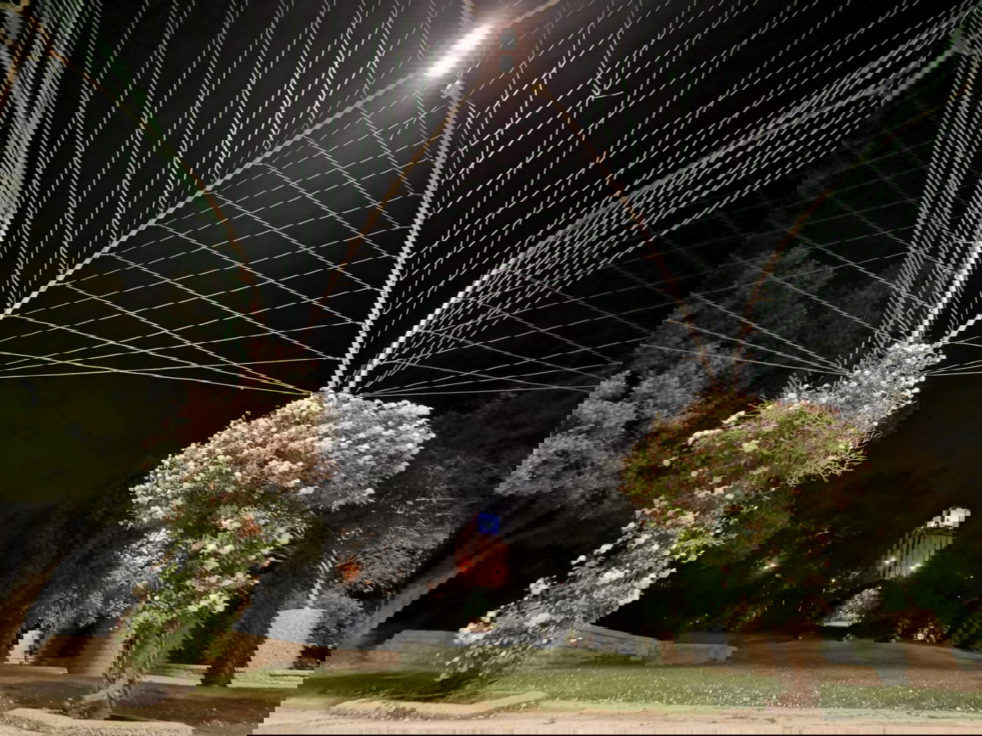 טיול ב'גן הפעמון' באמצע הלילה • גלריה