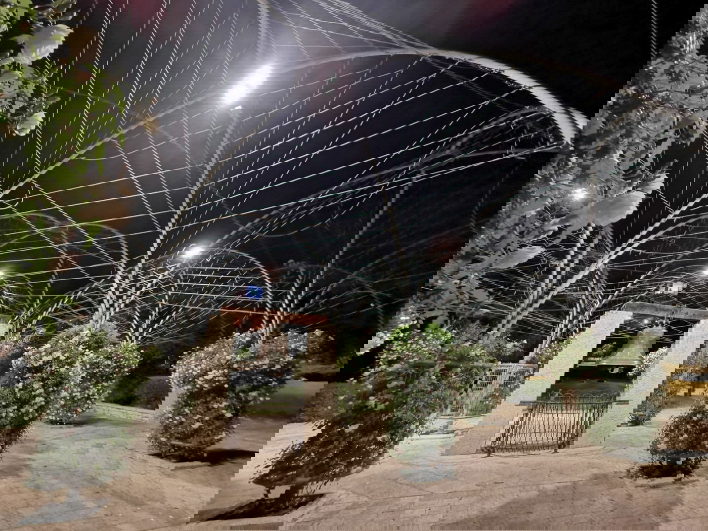 טיול ב'גן הפעמון' באמצע הלילה • גלריה