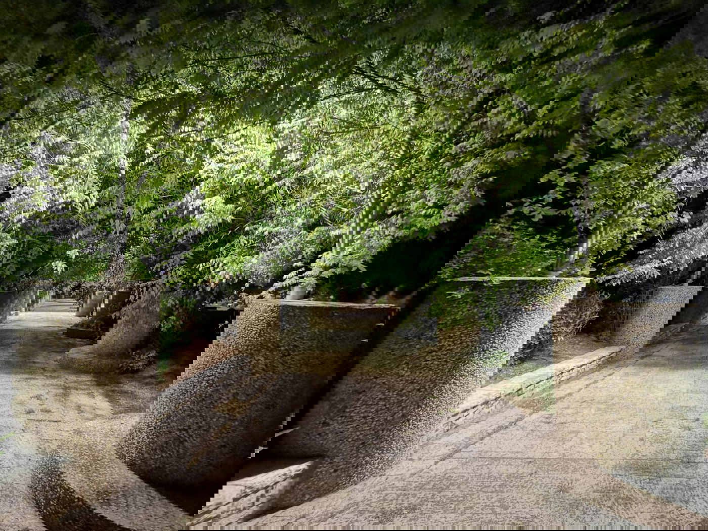 טיול ב'גן הפעמון' באמצע הלילה • גלריה