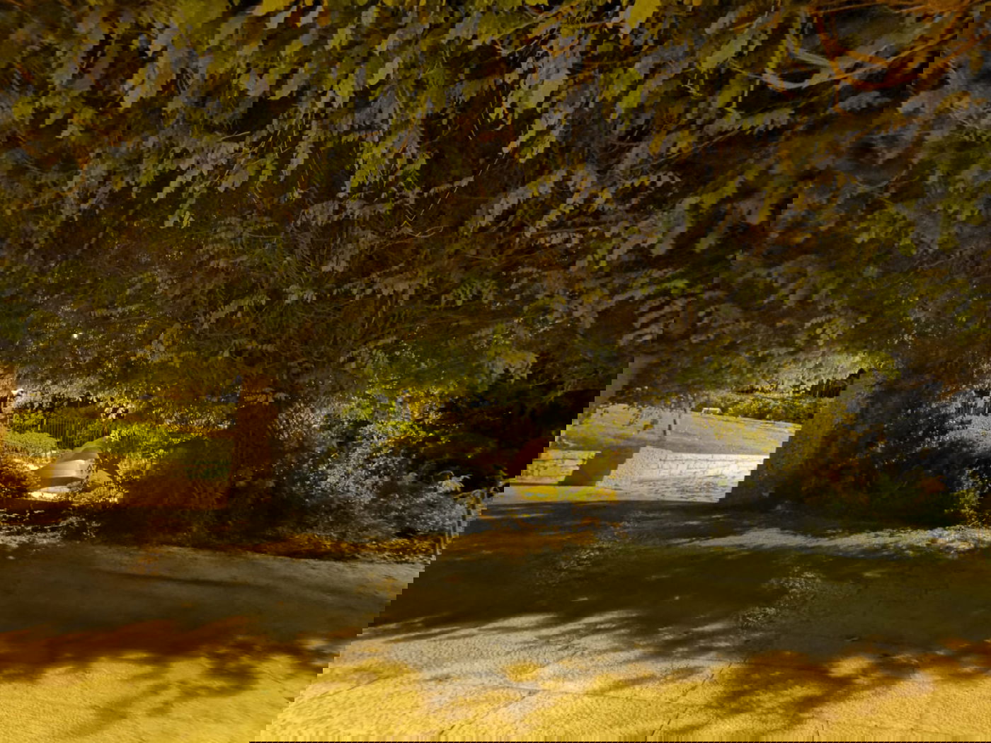 טיול ב'גן הפעמון' באמצע הלילה • גלריה