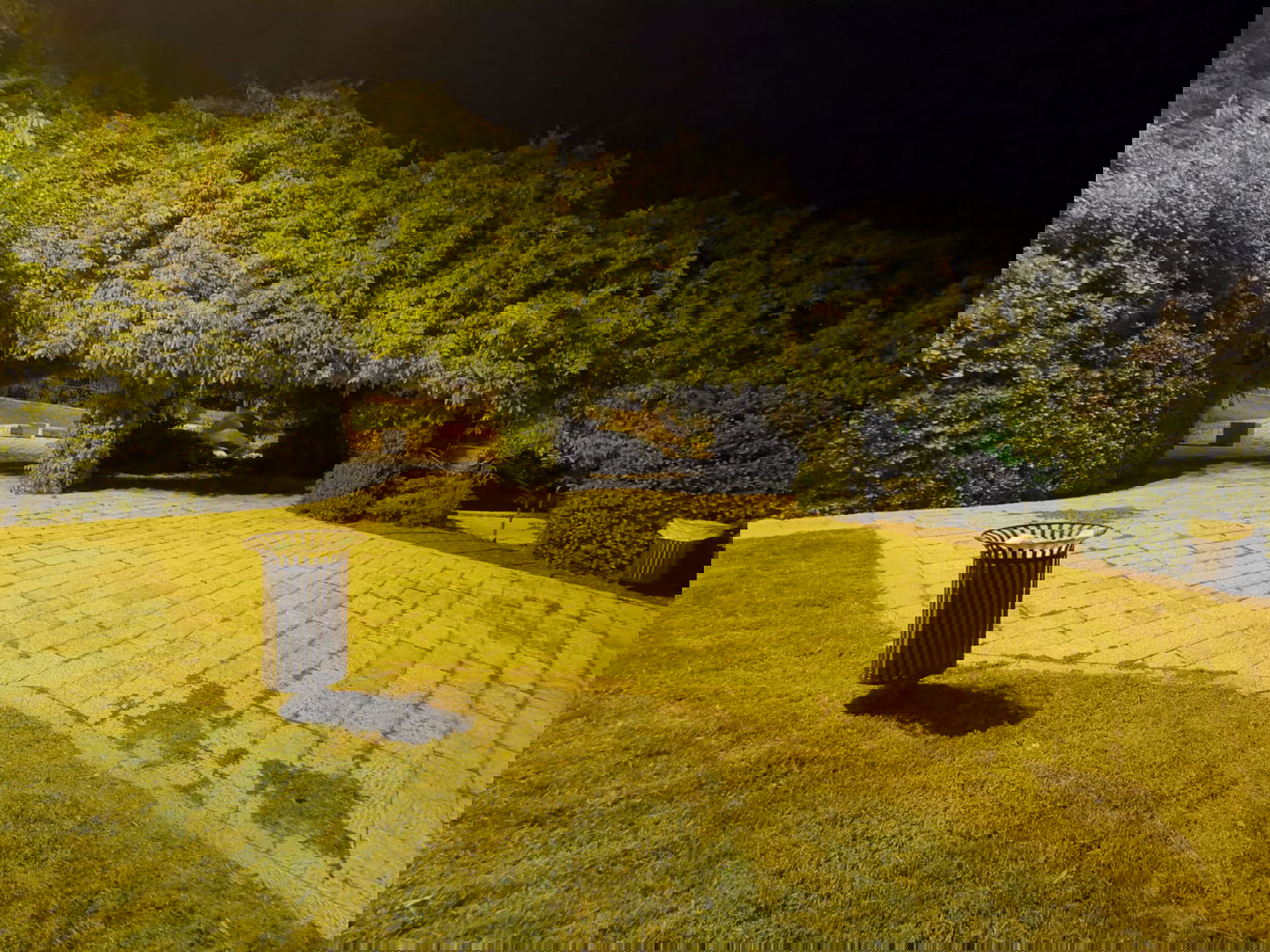 טיול ב'גן הפעמון' באמצע הלילה • גלריה