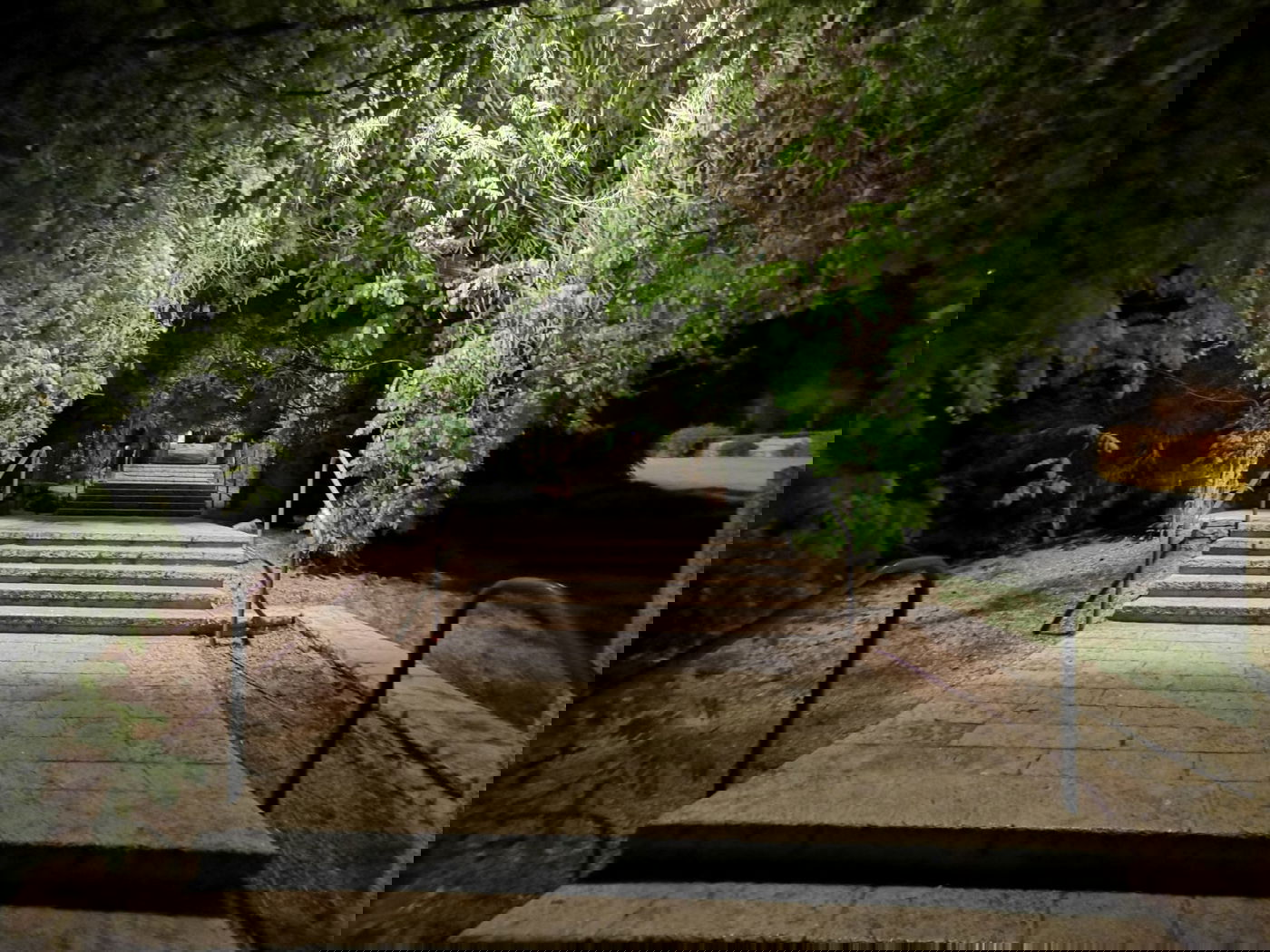 טיול ב'גן הפעמון' באמצע הלילה • גלריה